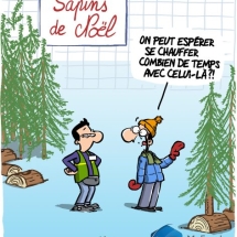sapins-noel